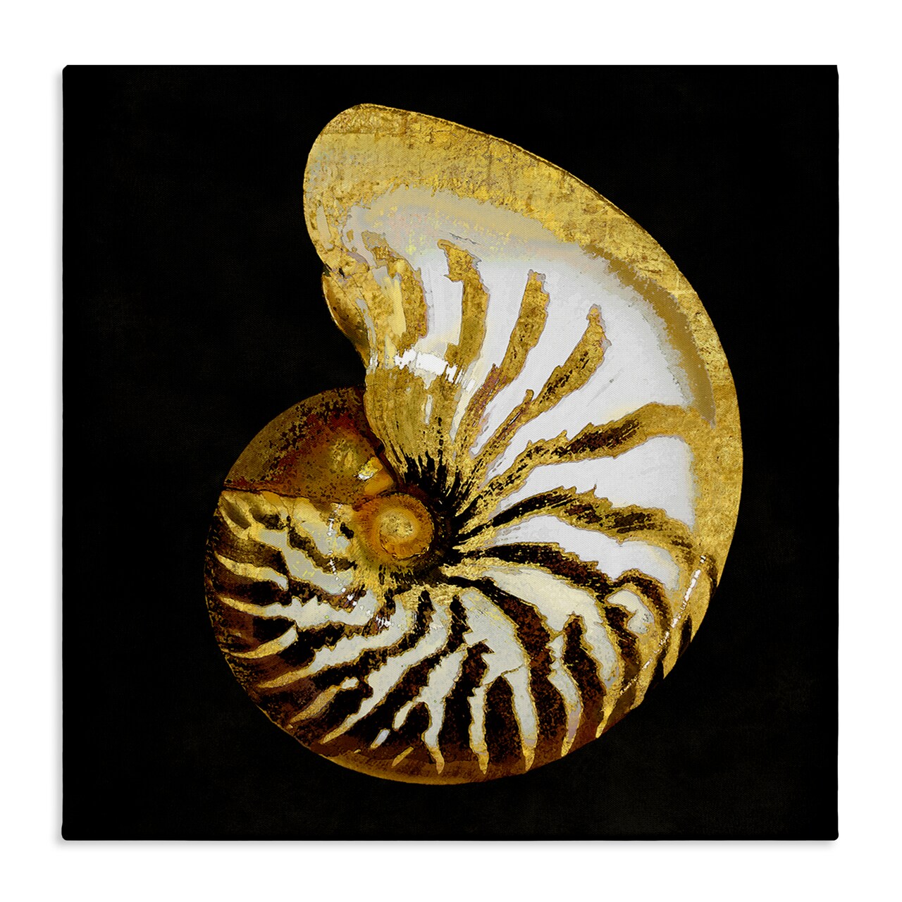 Stupell Industries Spiral Patterned Shell Canvas Wall Art Design by Caroline Kelly